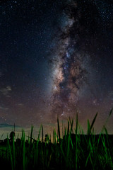 The MilkyWay at Rice stalk  in Thailand