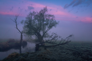 Foggy morning on the Jeziorka river near Piaseczno, Poland