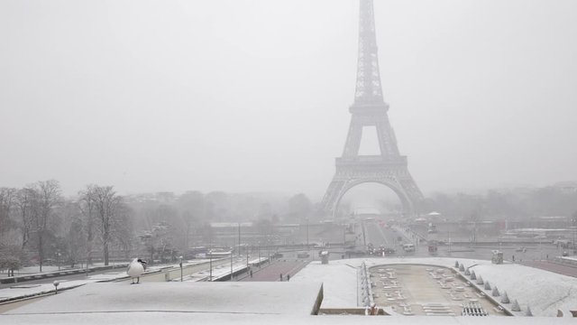 Eiffel Tower in winter with snow in Paris France, seen from the Place du Trocadero, on a snowy day
