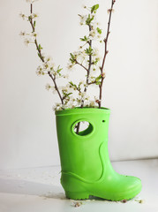 Rubber boot and blooming spring tree branch - 336427704