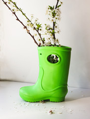 Rubber boot and blooming spring tree branch - 336427707