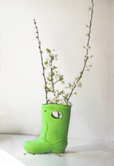 Rubber boot and blooming spring tree branch - 336427743