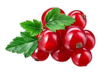 Red currant isolated. Currant red with leaves on white background. With clipping path. Currants on branch.