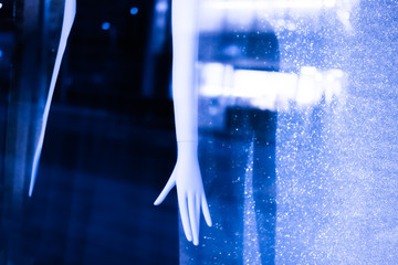 ショーウインドウ