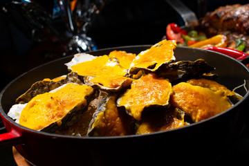 Baked Oysters with Cheese