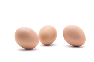 Egg isolated on white background