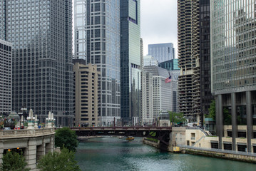 Chicago in summer with clear skies with buildings and greenery