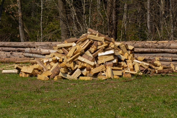 Pile of firewood on a heap in the grass and old stacked firewood and forest in the background