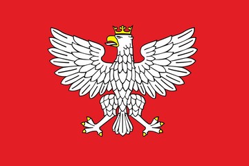 eagle heraldic design