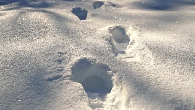 Closeup of footprints on the snowy ground in sunlight, shadows flowing on snow