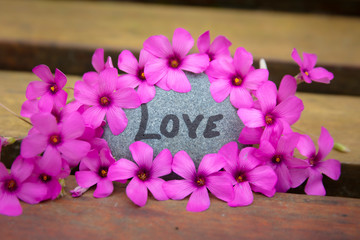 Stone with the word love written on it and surrounded by beautiful pink flowers