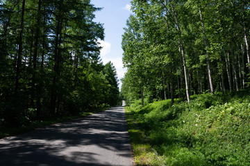 Fototapeta na wymiar 夏の林を抜ける山道