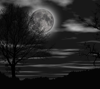 moon and tree © franco