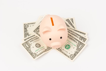 Pink piggy bank on dollars, isolated on white background. Concept of savings