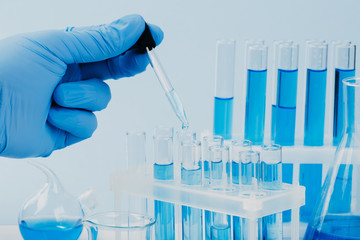 scientific laboratory equipment. hands of a scientific researcher in blue gloves