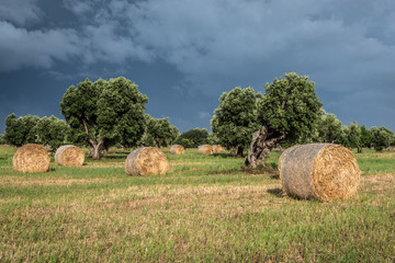 Puglia