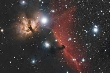 Horsehead and Flame Nebula