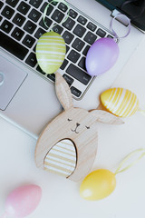 Business bunny