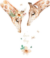 Poster with couple giraffe. Watercolor cartoon giraffe tropical animal illustration. Jungle exotic summer design for wedding © Anna Terleeva