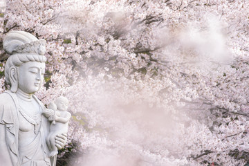 Fototapeta na wymiar 桜と観音様
