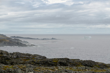 Newfoundland coast