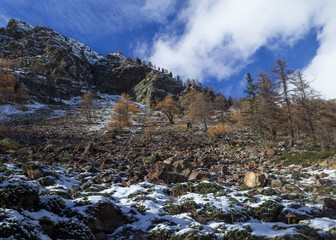 Fototapeta premium ski winter tour in Gesso Valley