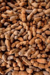 Tropical tamarind fruits in market for Indian cooking and Ayurveda