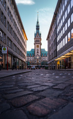 Naklejka premium Hamburg City Hall