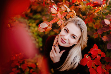 Naklejka na ściany i meble autumn landscape, red and yellow leaves, good sunny weather, family, mom dad and son for a walk, pregnant mother, blonde pregnant girl, joy, happiness, happy family expecting a baby, older brother
