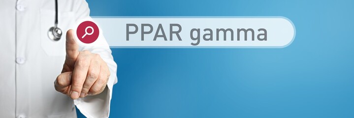 PPAR gamma. Doctor in smock points with his finger to a search box. The word PPAR gamma is in...