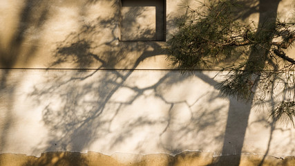 Japanese castle wall casting pine tree shadow calm zen scene