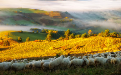 Pieniny po wschodzie słońca © Małgorzata