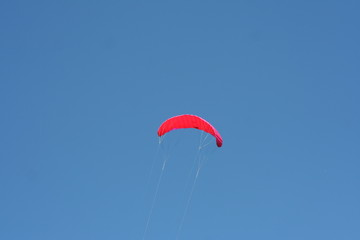 paraglider