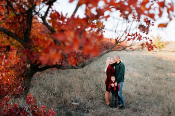 autumn landscape, red and yellow leaves, good sunny weather, family, mom dad and son for a walk, pregnant mother, blonde pregnant girl, joy, happiness, happy family expecting a baby, older brother