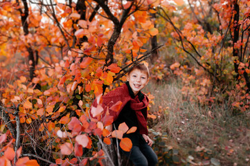 autumn landscape, red and yellow leaves, good sunny weather, family, mom dad and son for a walk, pregnant mother, blonde pregnant girl, joy, happiness, happy family expecting a baby, older brother