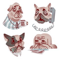 Set of dogs in office