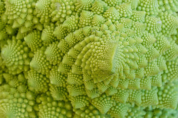 Close-up of natural fractals of Romanesco broccoli (also known as Roman cauliflower, Broccolo...