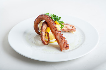 Octopus. The recipe for cooking.