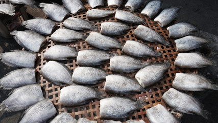 Sun Dried Fish 