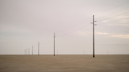 Telephone Poles in Water
