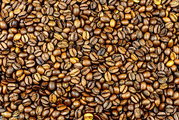 Roasted coffee beans. Golden grains of ready-made coffee.