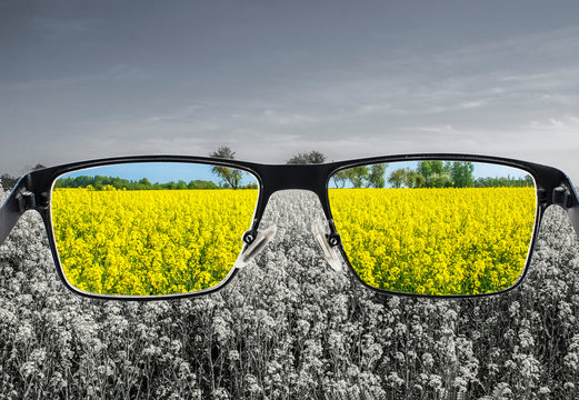 Looking through glasses to colorful nature landscape with blue sky and yellow field. Different world perception. Optimism, hopefulness, mental health concept.