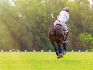 Horse polo player strikes the ball with a mallet. The horse jumps over the field. Forest and cloud...