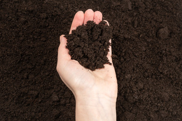 Woman hand holding ground.