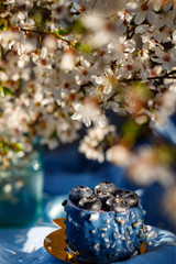 blue and yellow cake spring 