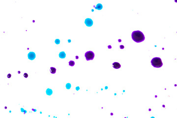 Close Up of Multicoloured Splattered Paint Blobs on White Paper for Abstract Background