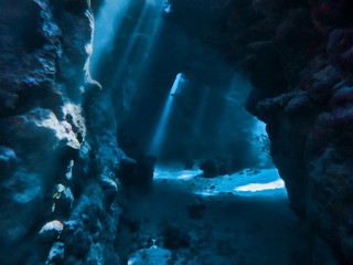 Underwater photo of scenery with sunlight and beams underwater	