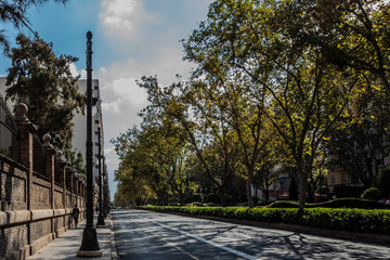Día de otoño en Valencia - España. Hermosa naturaleza.
Sombras y luces en un día soleado.