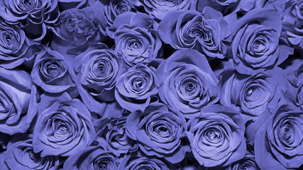 Background of bouquets of flowers. Roses. Design. Close up.