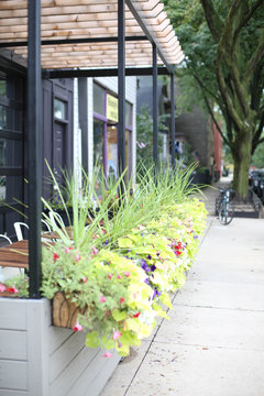 Chicago Lakeview Scene With Planters Sidewalk